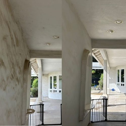 House-Washing (3)