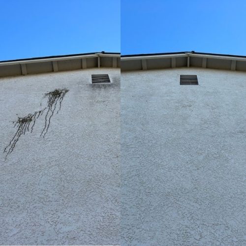 House-Washing-6