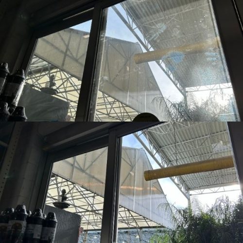 Storefront Cleaning IMG (4)