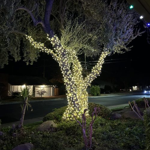Christmas Light Installation services in Merced